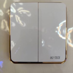 OG TECH 2 TWO GANG SWITCH