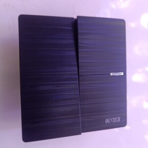 OG TECH 2 TWO GANG SWITCH