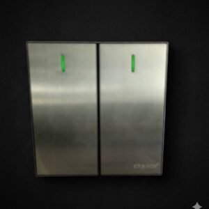 CTORCH 2 TWO GANG SWITCH